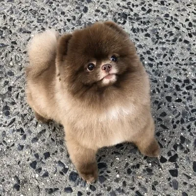 🌟My Name is Bear🌟 profile