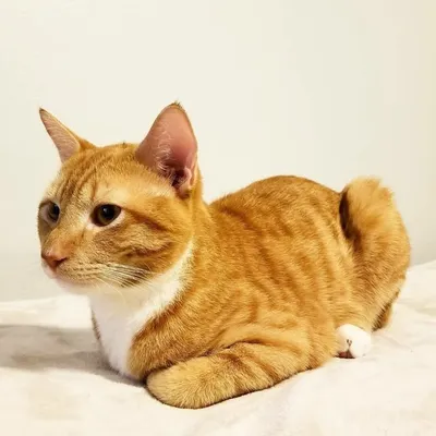 Star🌟 profile