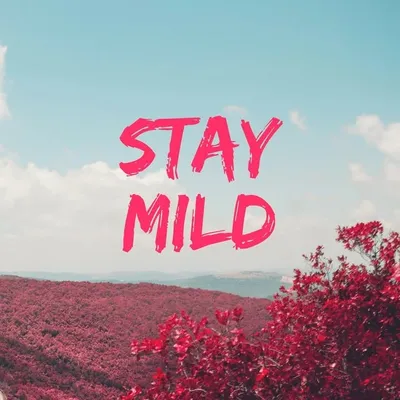 Stay Mild profile