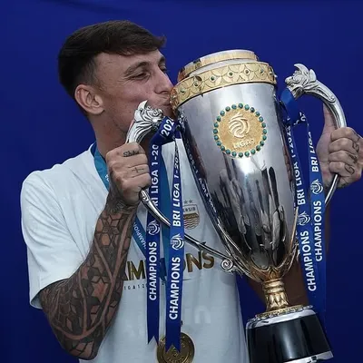 Stefanobeltrame profile