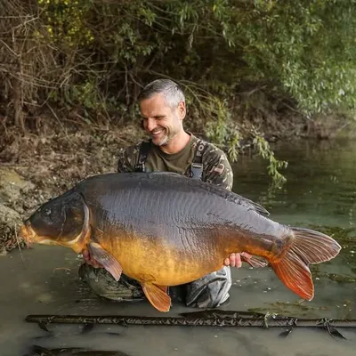 Steffen Hambsch profile