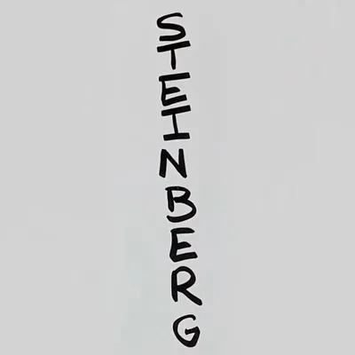 art by steinberg profile