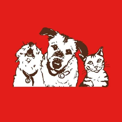 Stella & Chewy's ๐ถ๐ฑ profile