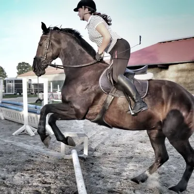 Paula & ⭐️Sternmajor⭐️ profile