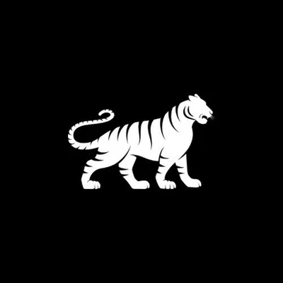 null profile