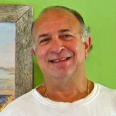 Steve Lipson, Fine artist profile