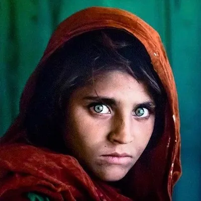 Le Monde de Steve McCurry profile
