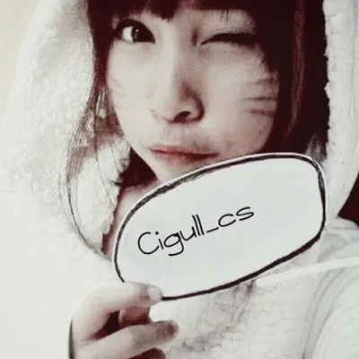 Cigull_cs profile