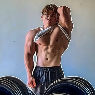 Steven Scheiermann profile