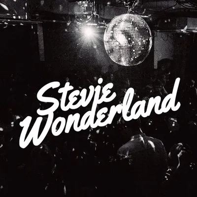 Stevie Wonderland profile