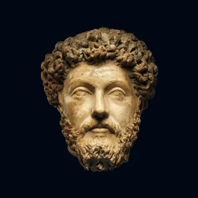 Stoic Philosophy & Wisdom profile