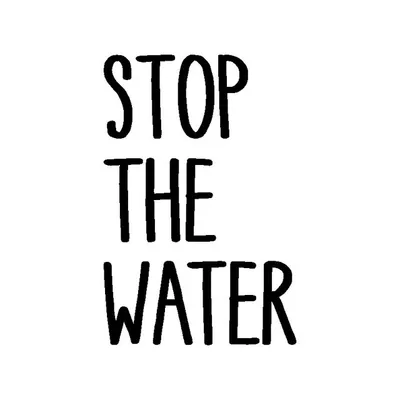STOP THE WATER WHILE USING ME! profile