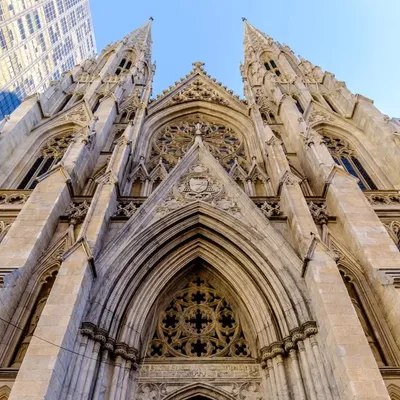 St. Patrick's Cathedral profile