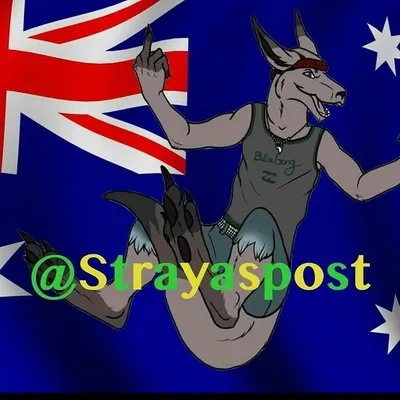 The Best Aussie Memes! profile