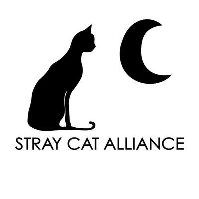 STRAY CAT ALLIANCE profile