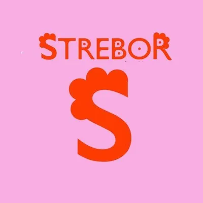 Strebor Clothing profile