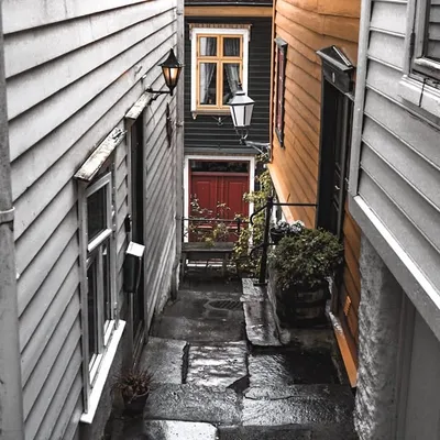 Streets of insta profile