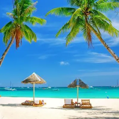 GOA profile