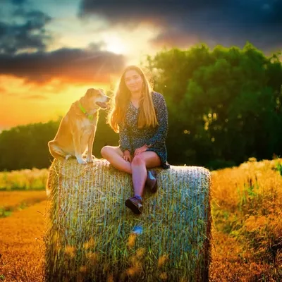 Mandy & Aron 🌹🐾| ʜᴜɴᴅᴇʙʟᴏɢ 🐕 profile