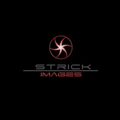 South Florida Photographer profile