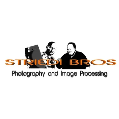 Striedi Bros profile