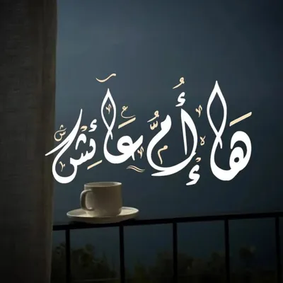 𓂆 أُمُّـــ عــائــشَــہ | 𝑪𝑺 𝑺𝑻𝑼𝑫𝑬𝑵𝑻 profile
