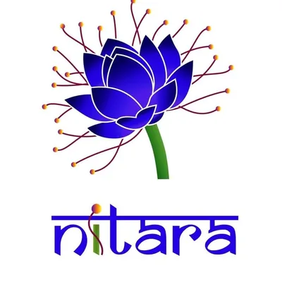 Studio Nitara | Bhujodi Sarees profile