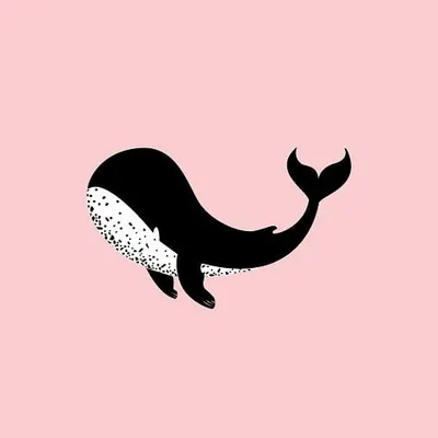 p a m e l i t a s® profile