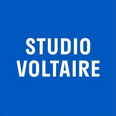 Studio Voltaire profile