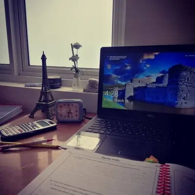 studywithaysh | Ayesha profile
