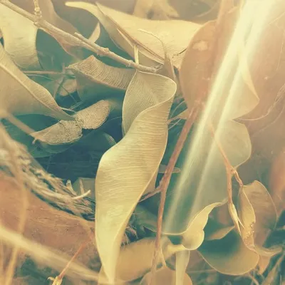 an avant-garde profile