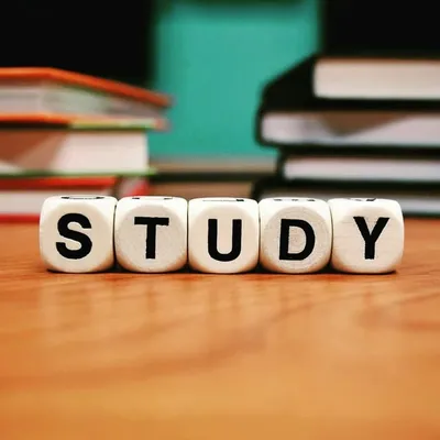 StudyPoint profile