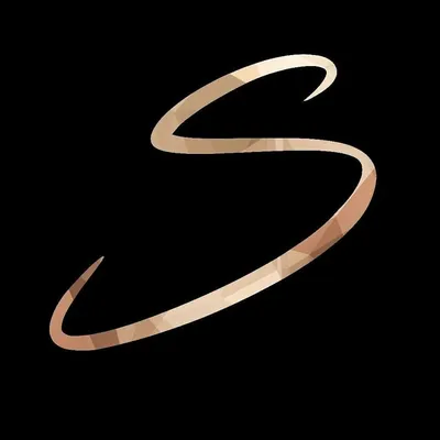Stunning Speed ๐ profile
