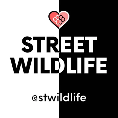 Street Wildlife profile