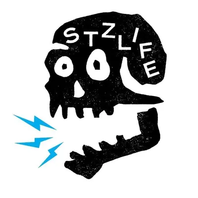 STZ®️LIFE ☀️🌲🔺 profile