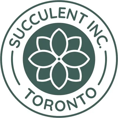 Succulent Inc. profile