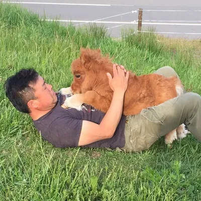 Naoki Fuliwara(Suetoshi Farm) profile