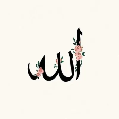 ๐๐ถ๐ง๐ง-๐ช๐ค๐ช๐ฆ๐ฏ๐ต-๐ธ๐ฐ๐ณ๐ฅ๐ด | muslim profile