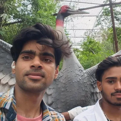 سہیل profile