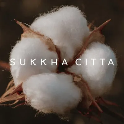 SukkhaCitta profile