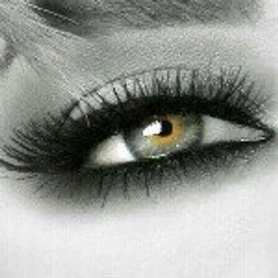 Sulaf Fawakherji سُلاف فواخرجي profile