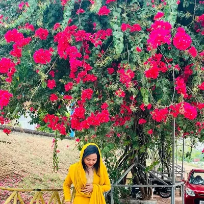 سمية بنت سكير profile