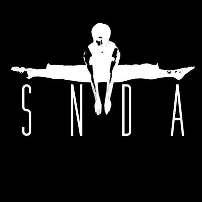 Sumeet Nagdev Dance Arts profile