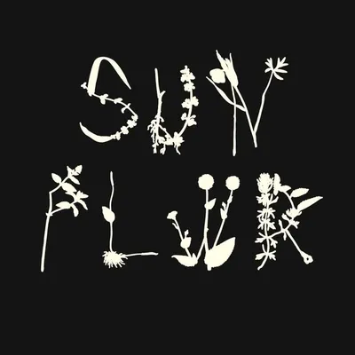 SUNFLWR STUDIO profile