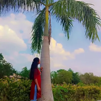 Sunitha Budarapu profile