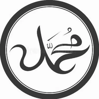 Sunnat-E-Muhammad ๐ profile