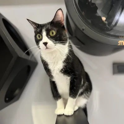 有熊·許🐾 profile