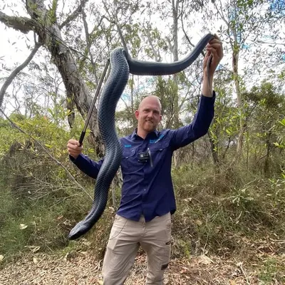 Sunshine Coast Snake Catchers 24/7 profile