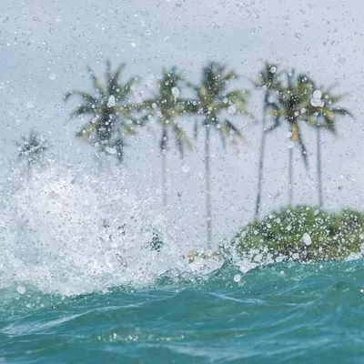 Surf & Yoga Retreat profile