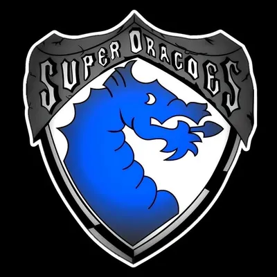 Super Dragões 1986 profile